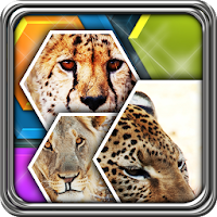 Icona di HexLogic - Collage APK