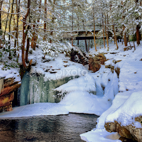 Bottom of Wheelbarrow Run, 2015.01.25 by Aaron Campbell - Instagram & Mobile iPhone
