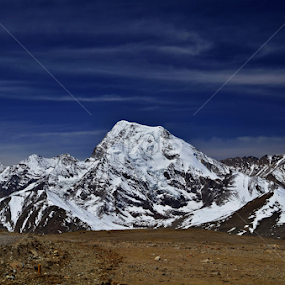 Tricolored by Joydeep Mukherjee - Landscapes Mountains & Hills
