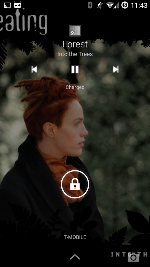 AllCast - screenshot