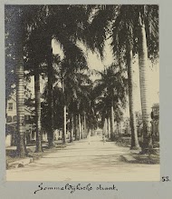 Sommeldijksche straat