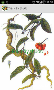 How to mod Trái cây thuốc(Trai cay thuoc) 1.0.1 mod apk for pc