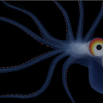 My Slightly Less Unfinished Octopus