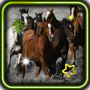 Horses Free HD live wallpaper 1.0