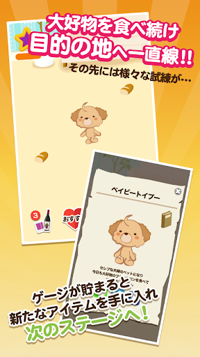 【免費休閒App】反逆のカリスマ犬〜トイプードル編〜-APP點子