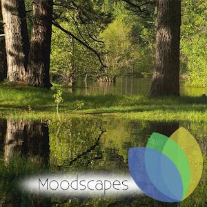 Still Pond HD for Google TV 1.9