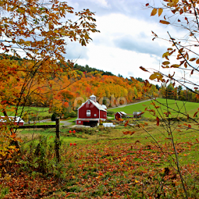 Vermont Farm by Christine Hanaford - Landscapes Mountains & Hills