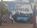 Patagonia Sin Represas