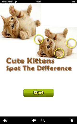 Cute Kittens Difference Game