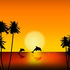 Paradise Island Theme 480x800.apk 1.0.1