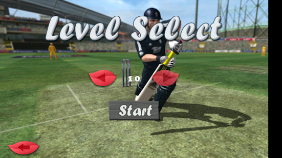 Cricket Cup 2015 Final Run Screenshots 4