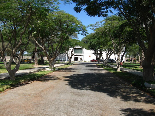 Museo Regional De Ica