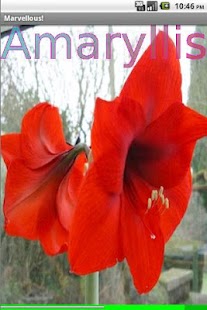 Download Garden Flowers 1 FREE APK for Android