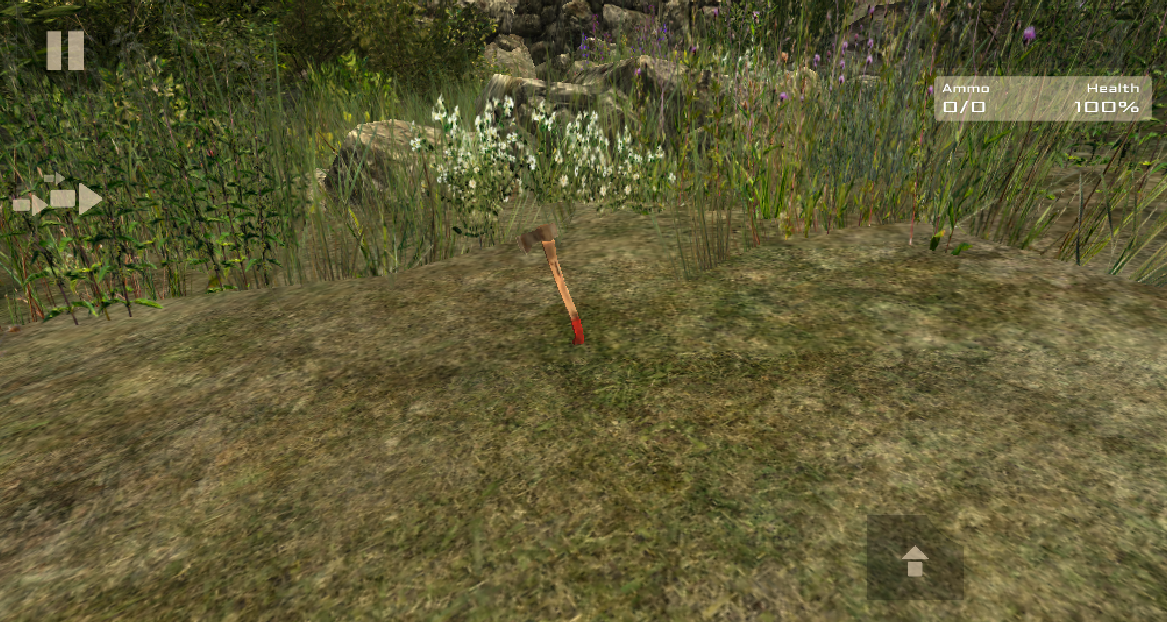 Survival in Forest - screenshot