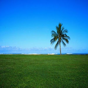 Best Nature Wallpapers HD.apk 1.0.7