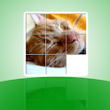 Puzzle Time logo