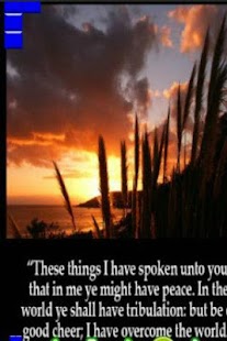 Unblock shield of grace Screenshots 2