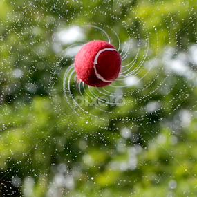 Water Galaxy by Ramakant Sharda - Artistic Objects Other Objects