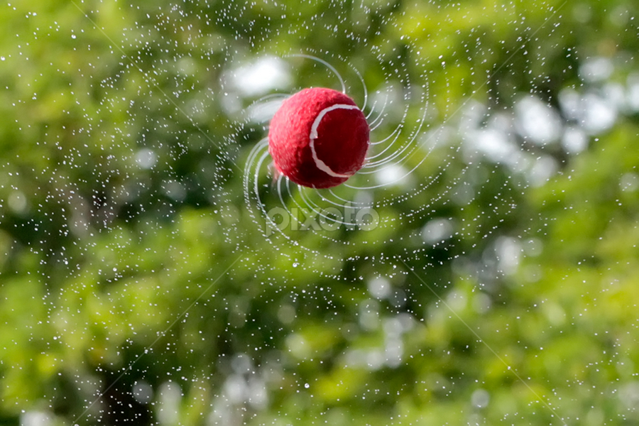 Water Galaxy by Ramakant Sharda - Artistic Objects Other Objects