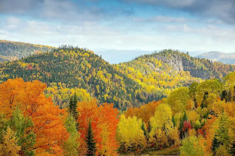 Fall foliage on the Saint Lawrence River.