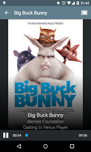 VEGA Cast (Chromecast) - screenshot thumbnail