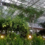 香草菲菲 芳香植物博物館