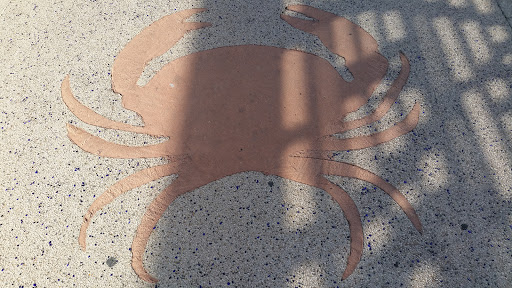 Crabe Promenade