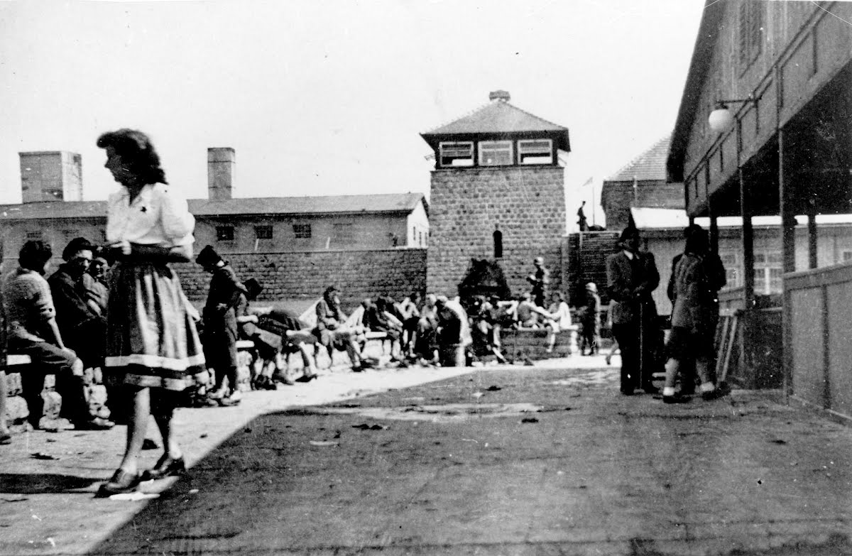 Австрия концлагерь