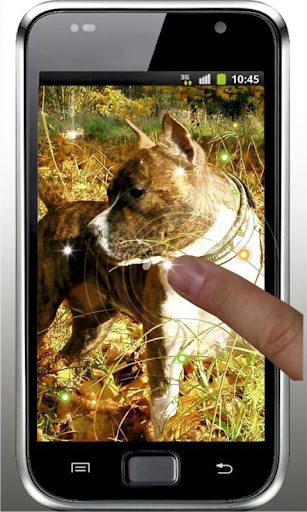 【免費個人化App】Hunter Dogs live wallpaper-APP點子