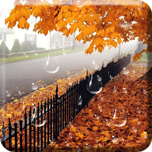 Maple Drops Live Wallpaper.apk 1.0.1