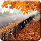 Download Maple Drops Live Wallpaper For PC Windows and Mac 1.0.3