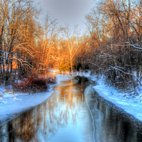by Liz Okon - Landscapes Waterscapes