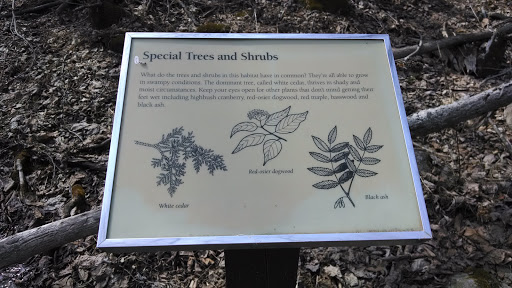 Special Trees and Shrubs