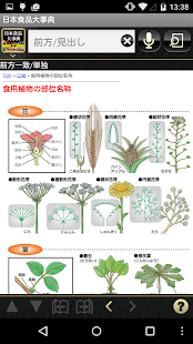 download 日本食品大事典　第３版　（医歯薬出版） free