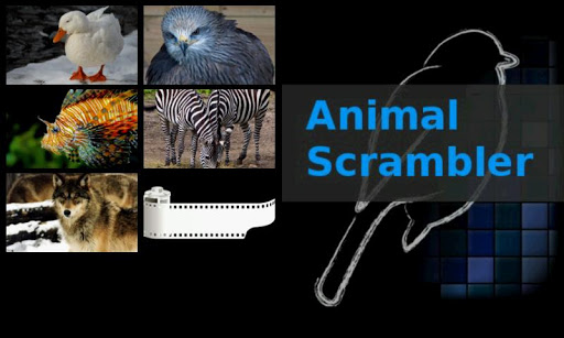 Animal Scrambler