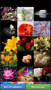 download Wallpaper Bunga-bunga free