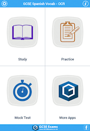 GCSE Spanish Vocab - OCR Lite poster 17