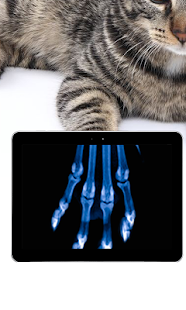 Pet Xray- Prank Screenshots 5