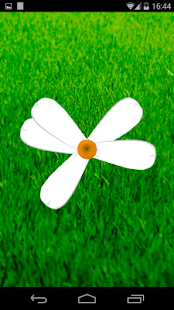Android application Divination by daisy screenshot