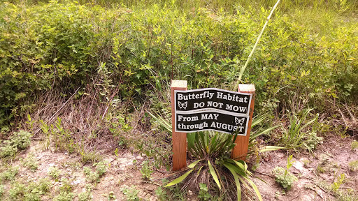 St. Marks Trail Butterfly Habitat