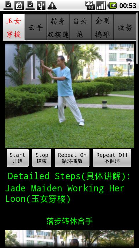 Chen TaiChi18-3陈氏十八式太极拳3 Screen 3