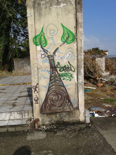 Tree Graffiti Siquirres