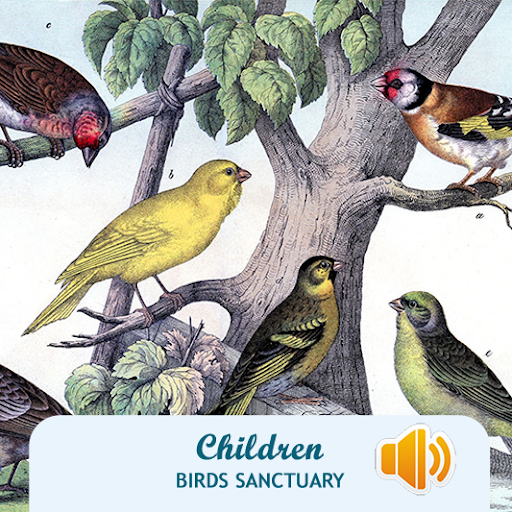 Children Birds Sanctuary