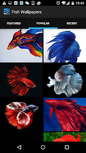 How to mod Fish Wallpapers Backgrounds HD lastet apk for laptop