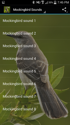 【免費音樂App】Mockingbird Sounds-APP點子