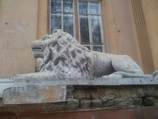 Лев у  Органного Зала