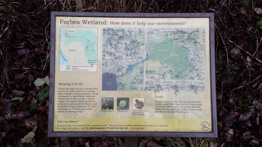 Forbes Wetland