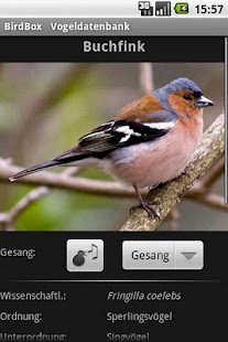 How to mod BirdBox patch 1.5.0 apk for bluestacks