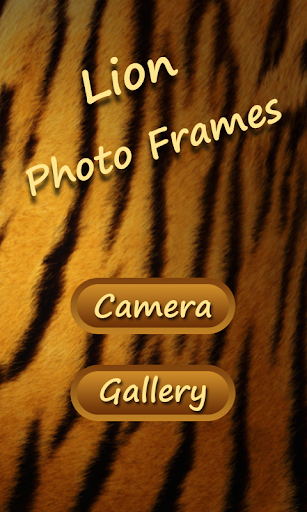 Lion Photo Frames