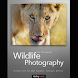 Wildlife Photography